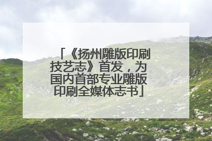 《扬州雕版印刷技艺志》首发，为国内首部专业雕版印刷全媒体志书