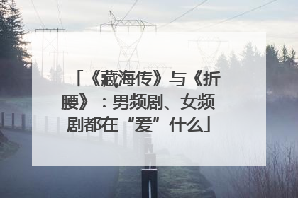 《藏海传》与《折腰》：男频剧、女频剧都在“爱”什么