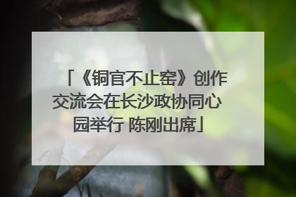 《铜官不止窑》创作交流会在长沙政协同心园举行 陈刚出席