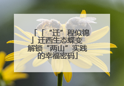 「“迁”程似锦」迁西生态蝶变 解锁“两山”实践的幸福密码