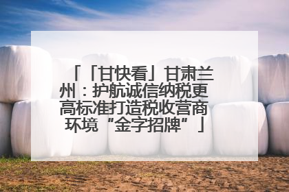 「甘快看」甘肃兰州：护航诚信纳税更高标准打造税收营商环境“金字招牌”