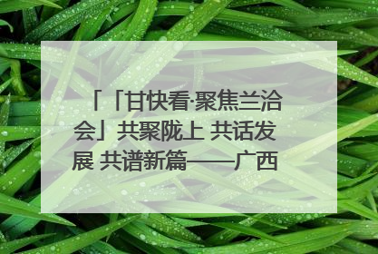 「甘快看·聚焦兰洽会」共聚陇上 共话发展 共谱新篇——广西贵州重点企业“请进来”招商推介会扫描