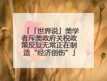 「世界说」美学者斥美政府关税政策反复无常正在制造“经济创伤”