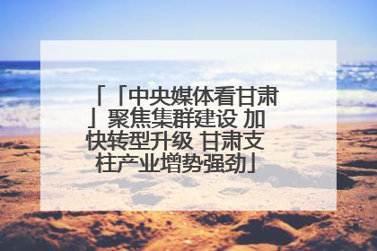 「中央媒体看甘肃」聚焦集群建设 加快转型升级 甘肃支柱产业增势强劲