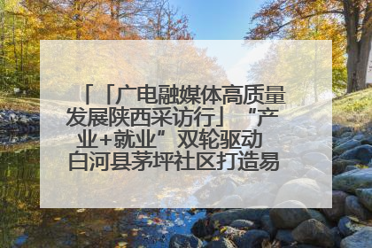 「广电融媒体高质量发展陕西采访行」“产业+就业”双轮驱动 白河县茅坪社区打造易地搬迁后扶新样本