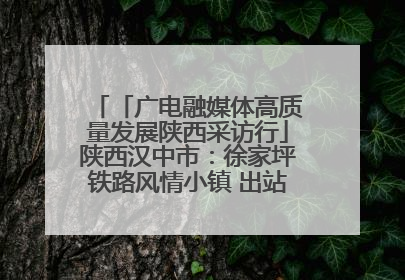 「广电融媒体高质量发展陕西采访行」陕西汉中市：徐家坪铁路风情小镇 出站就是景区