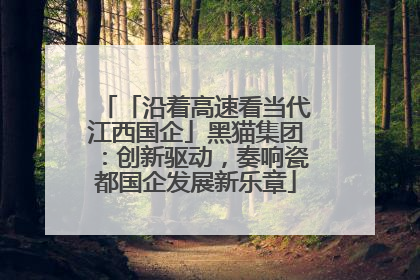 「沿着高速看当代江西国企」黑猫集团：创新驱动，奏响瓷都国企发展新乐章
