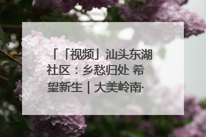「视频」汕头东湖社区：乡愁归处 希望新生｜大美岭南·百村焕新记