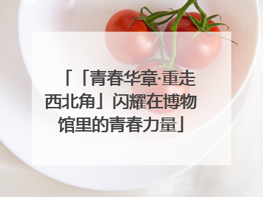 「青春华章·重走西北角」闪耀在博物馆里的青春力量