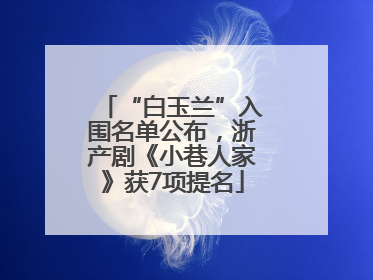 “白玉兰”入围名单公布，浙产剧《小巷人家》获7项提名
