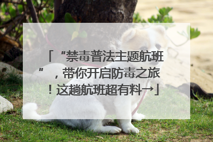 “禁毒普法主题航班”，带你开启防毒之旅！这趟航班超有料→