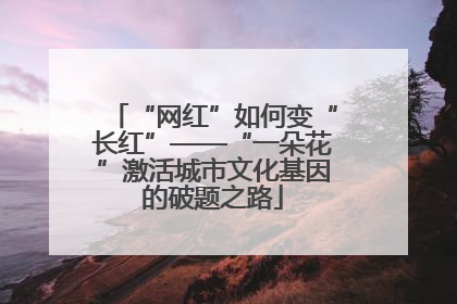 “网红”如何变“长红”——“一朵花”激活城市文化基因的破题之路