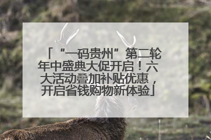 “一码贵州”第二轮年中盛典大促开启！六大活动叠加补贴优惠，开启省钱购物新体验