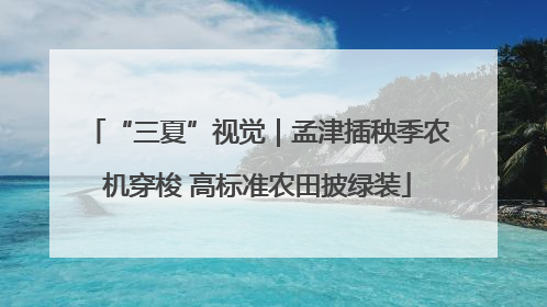 “三夏”视觉｜孟津插秧季农机穿梭 高标准农田披绿装