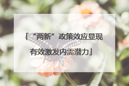“两新”政策效应显现 有效激发内需潜力