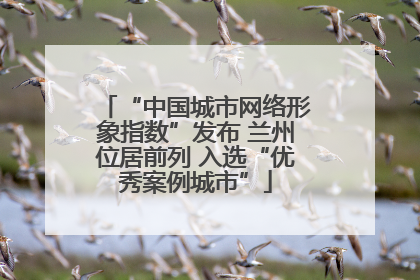 “中国城市网络形象指数”发布 兰州位居前列 入选“优秀案例城市”