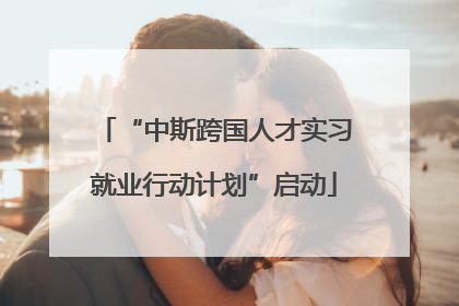 “中斯跨国人才实习就业行动计划”启动