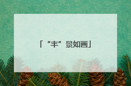 “丰”景如画