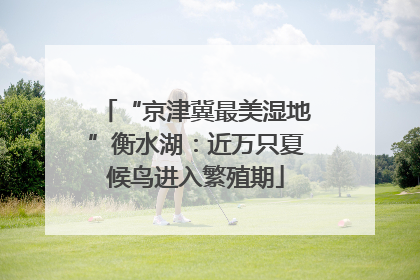 “京津冀最美湿地”衡水湖：近万只夏候鸟进入繁殖期