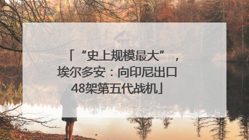 “史上规模最大”，埃尔多安：向印尼出口48架第五代战机