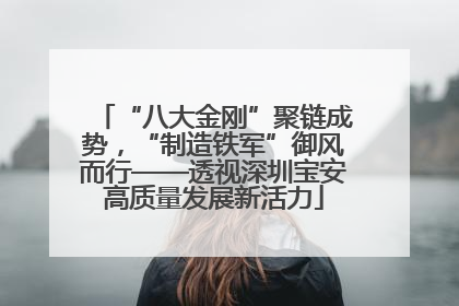 “八大金刚”聚链成势，“制造铁军”御风而行——透视深圳宝安高质量发展新活力