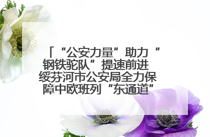 “公安力量”助力“钢铁驼队”提速前进 绥芬河市公安局全力保障中欧班列“东通道”绥芬河隧道贯通
