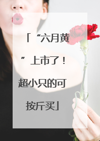 “六月黄”上市了！超小只的可按斤买