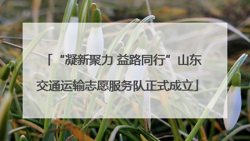 “凝新聚力 益路同行”山东交通运输志愿服务队正式成立