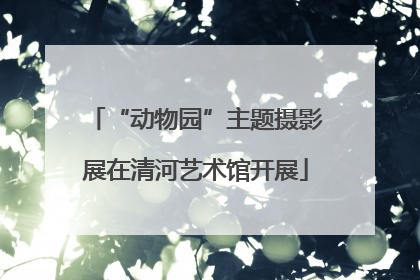 “动物园”主题摄影展在清河艺术馆开展