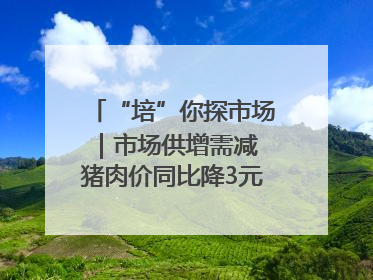 “培”你探市场｜市场供增需减 猪肉价同比降3元 未来40天便宜猪肉敞开吃