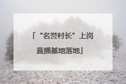 “名誉村长”上岗 直播基地落地