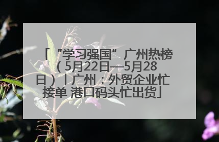 “学习强国”广州热榜（5月22日—5月28日）丨广州：外贸企业忙接单 港口码头忙出货