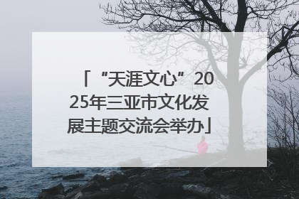 “天涯文心”2025年三亚市文化发展主题交流会举办