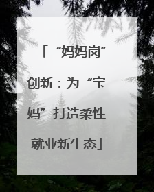 “妈妈岗”创新：为“宝妈”打造柔性就业新生态