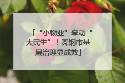“小物业”牵动“大民生”！舞钢市基层治理显成效