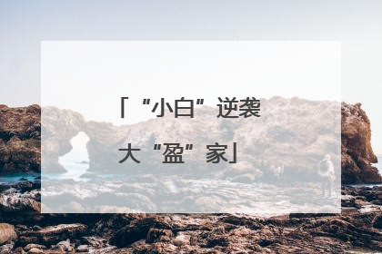 “小白”逆袭大“盈”家