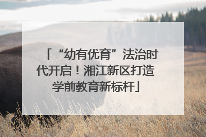 “幼有优育”法治时代开启！湘江新区打造学前教育新标杆