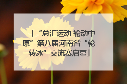 “总汇运动 轮动中原”第八届河南省“轮转冰”交流赛启幕