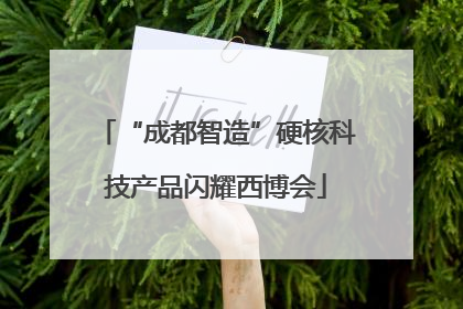 “成都智造”硬核科技产品闪耀西博会