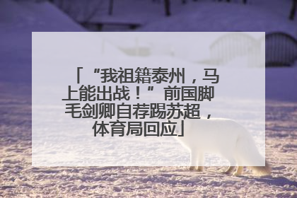 “我祖籍泰州，马上能出战！”前国脚毛剑卿自荐踢苏超，体育局回应