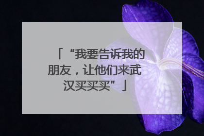 “我要告诉我的朋友，让他们来武汉买买买”