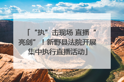 “执”击现场 直播“亮剑”！新野县法院开展集中执行直播活动