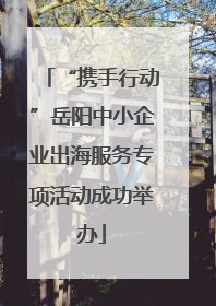 “携手行动”岳阳中小企业出海服务专项活动成功举办