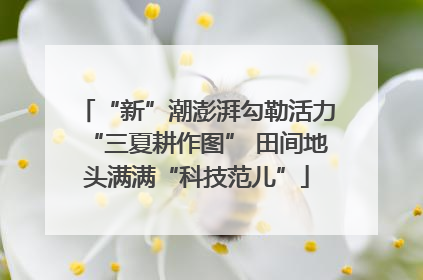 “新”潮澎湃勾勒活力“三夏耕作图” 田间地头满满“科技范儿”