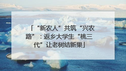 “新农人”共筑“兴农路”：返乡大学生“桃三代”让老树结新果