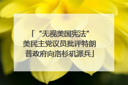 “无视美国宪法” 美民主党议员批评特朗普政府向洛杉矶派兵