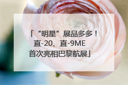 “明星”展品多多！直-20、直-9ME首次亮相巴黎航展
