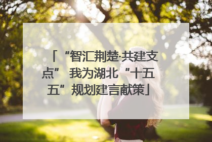 “智汇荆楚·共建支点” 我为湖北“十五五”规划建言献策