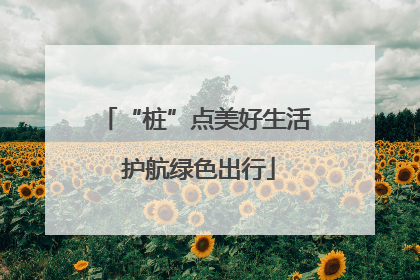 “桩”点美好生活 护航绿色出行