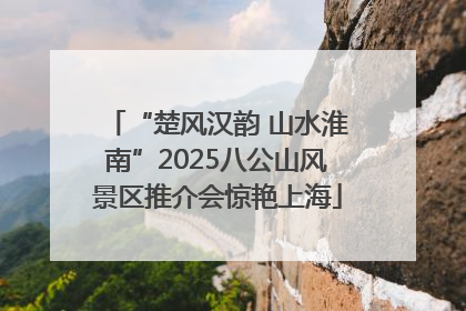 “楚风汉韵 山水淮南”2025八公山风景区推介会惊艳上海